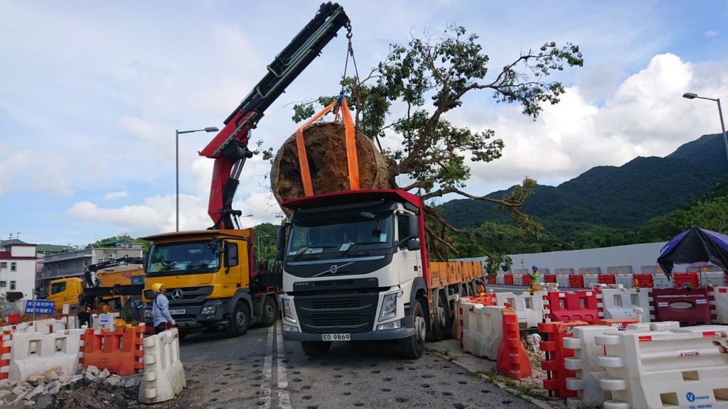 40 樹木移位及運走